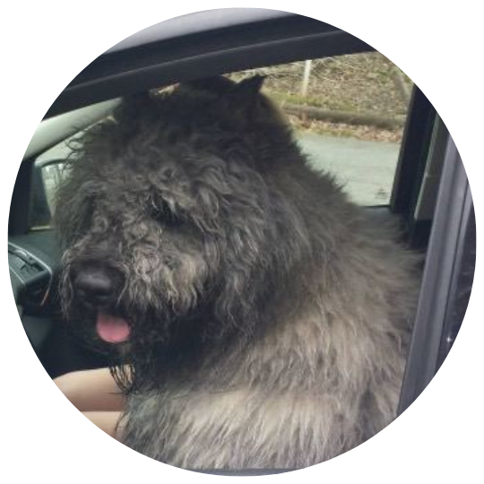 veterinary-3-testimonials-jeferson-140×140-1